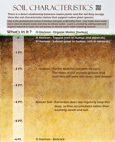 Soil Characteristics