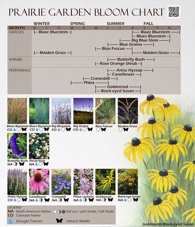 Bloom Chart