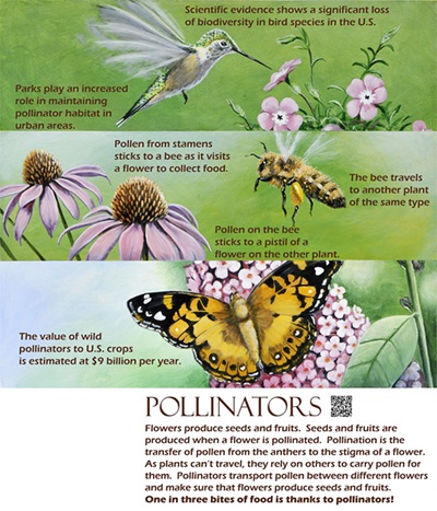 Pollinators