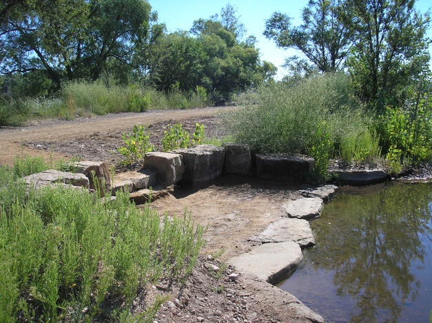 Pond access point