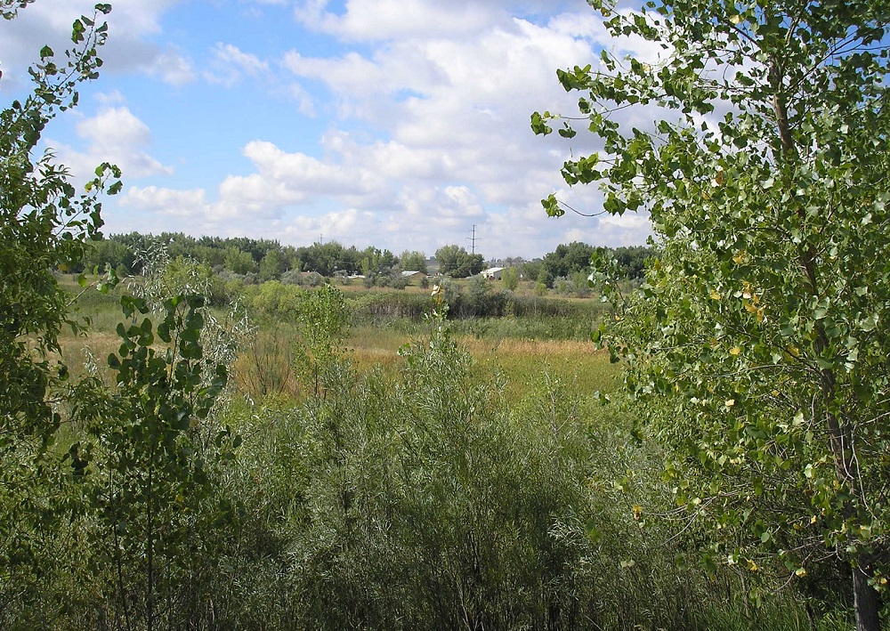 Big Thompson natural area