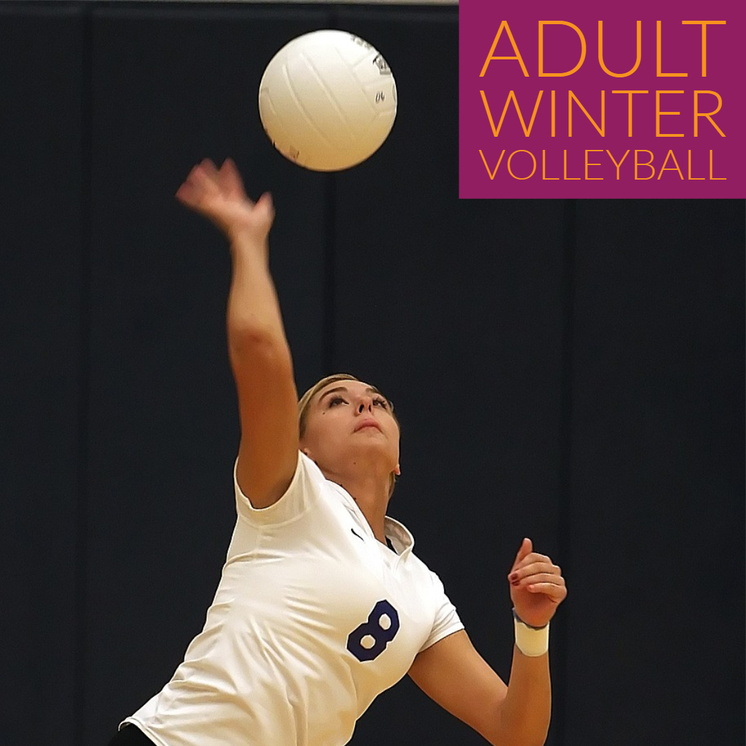 adult winter volleyball leagues in Loveland