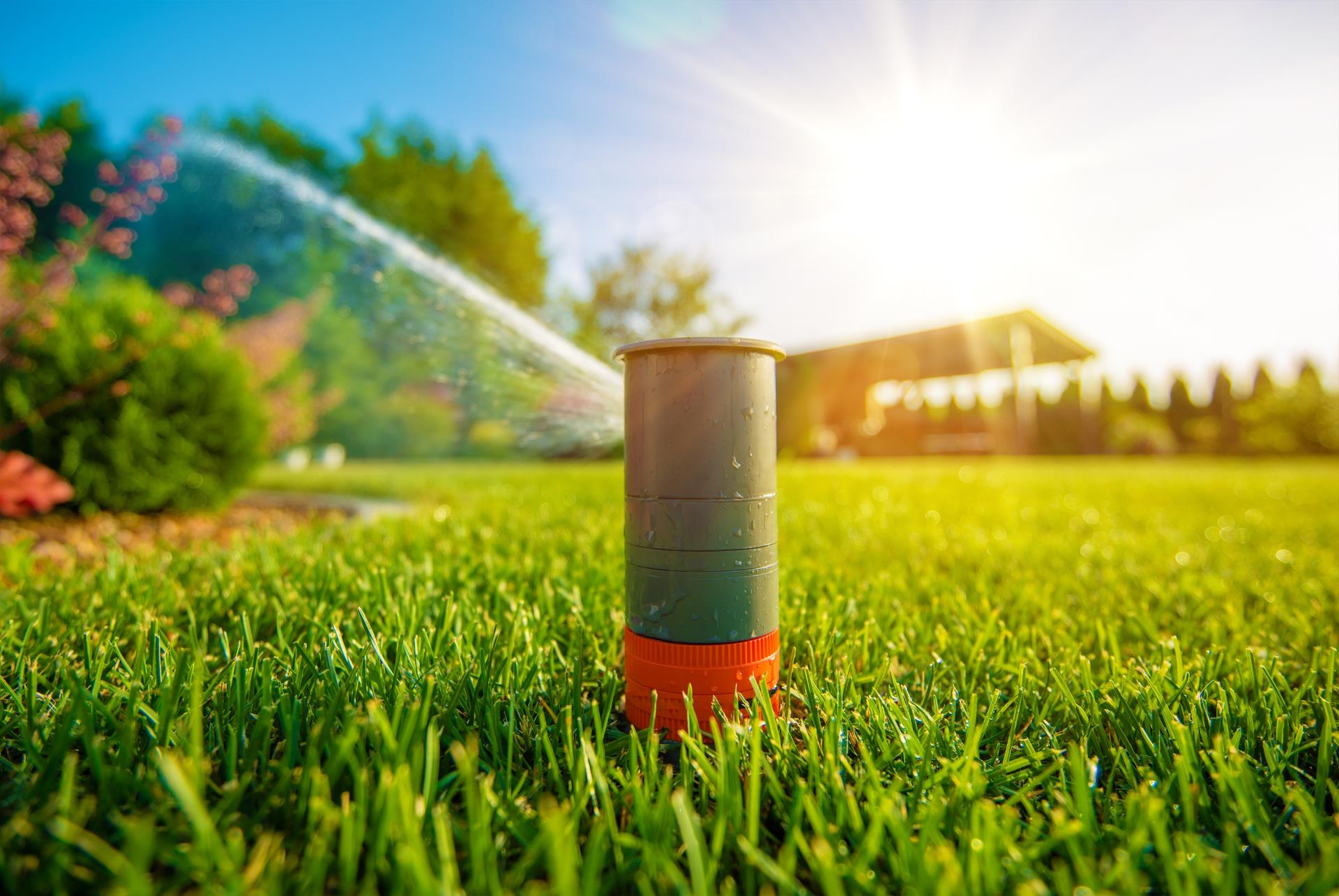 Sprinkler Watering Lawn