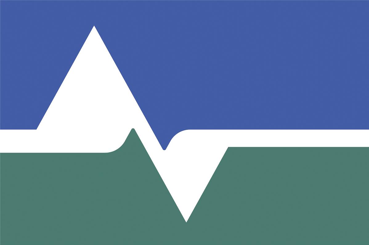 CityLogoFlag_for WEB