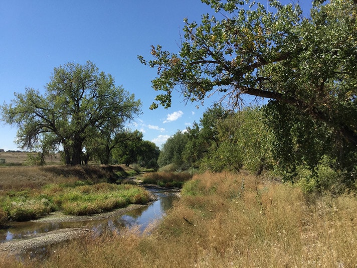 East Big Thompson Natural Areas 