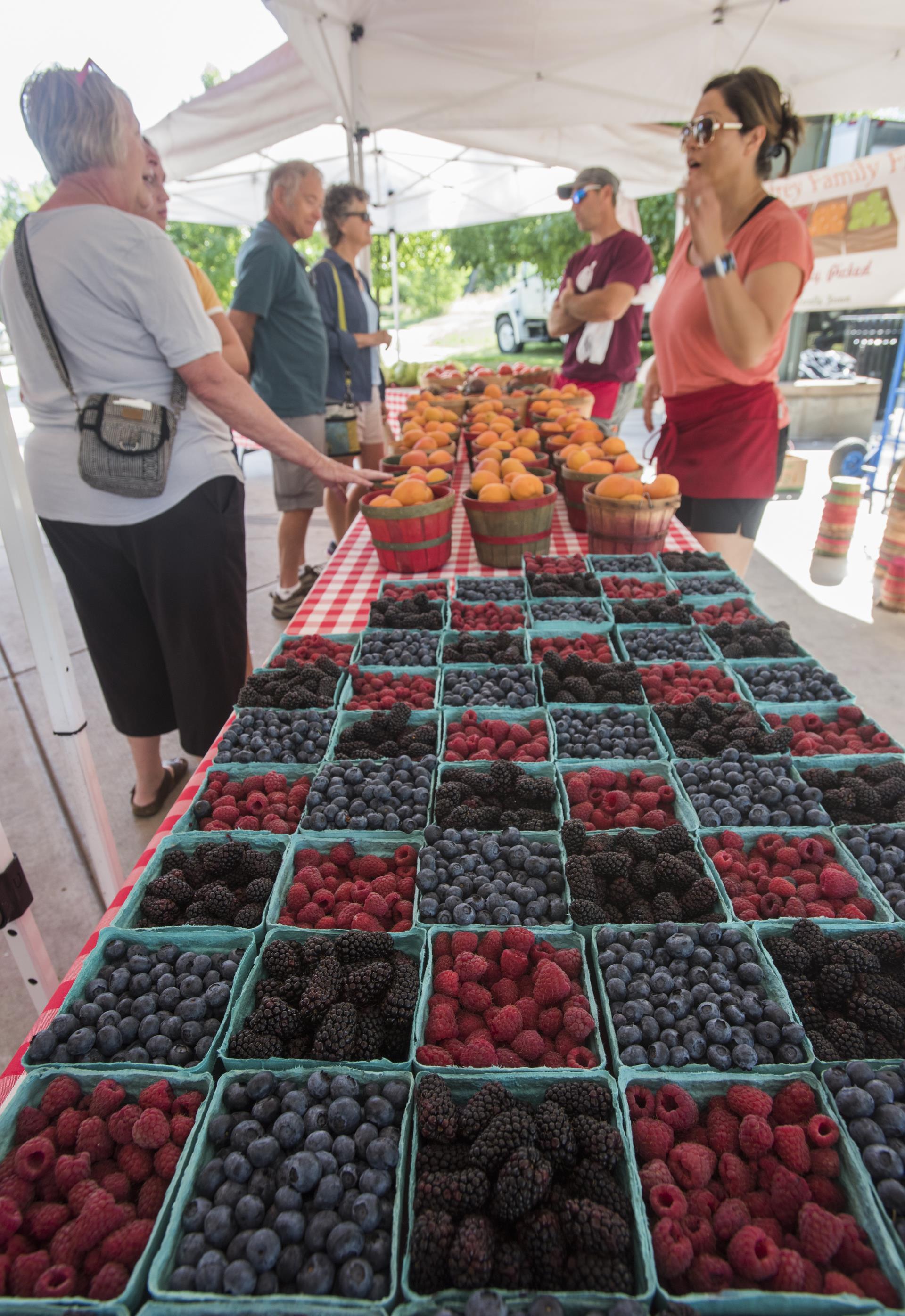 fruit vendor and customer at market