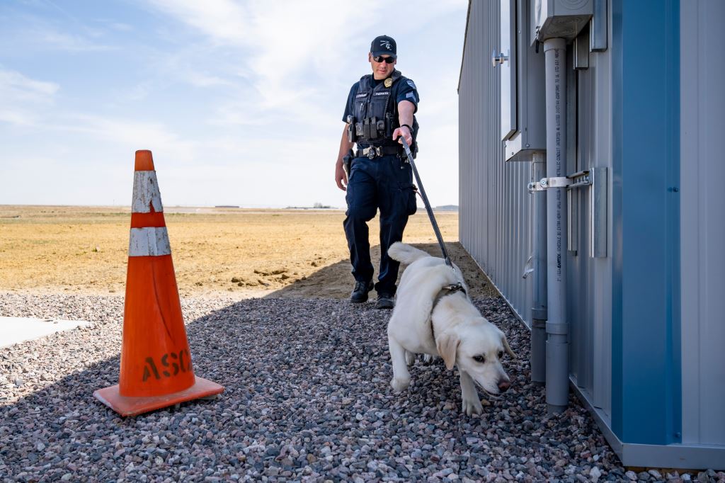 K9 searching building exterior