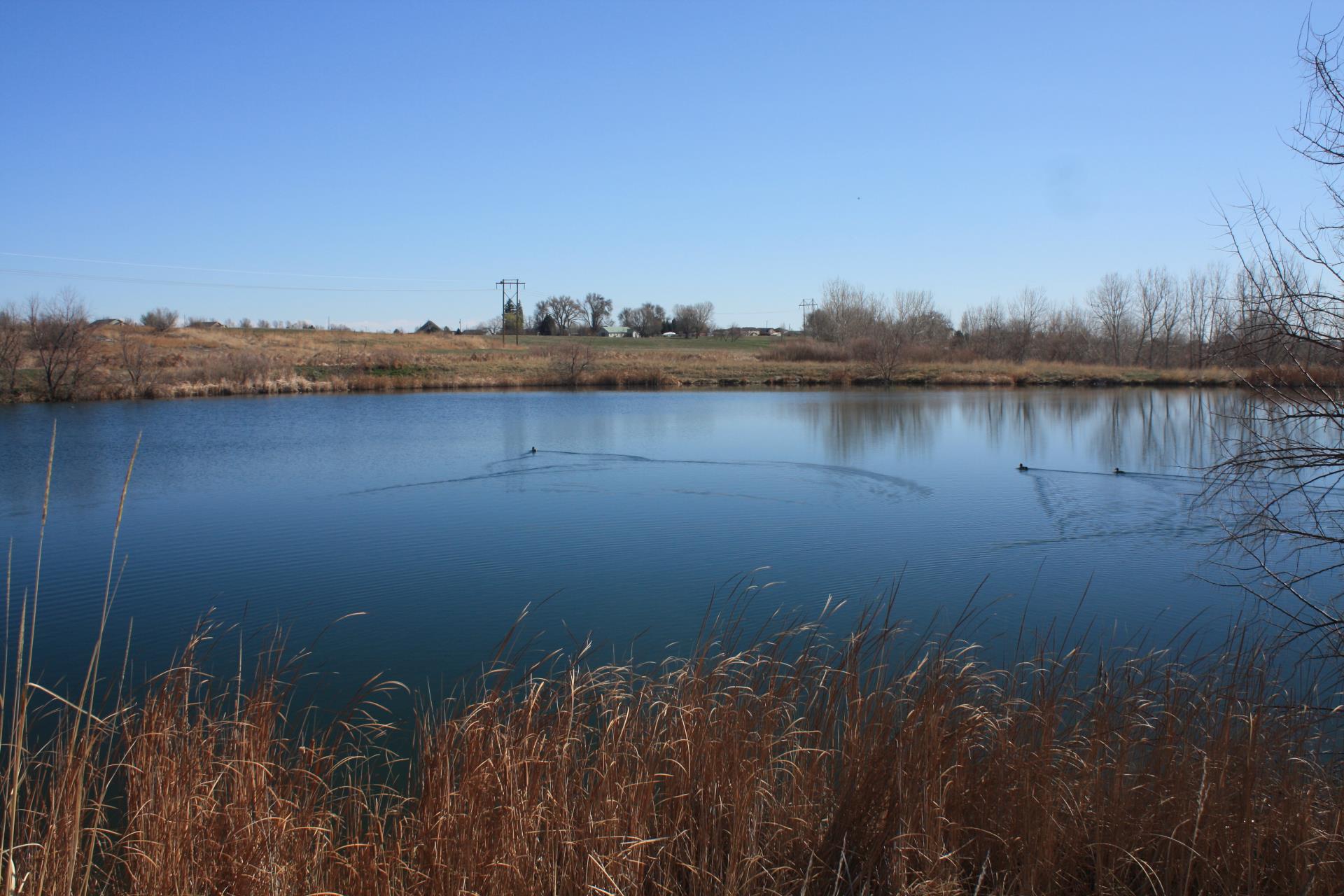 Pond located within Willow Bend Natural Area