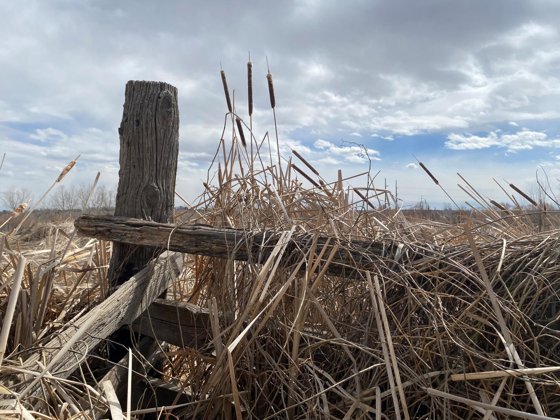 Willow Bend Old Farm Fencing