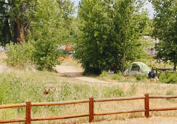 A tent set up on a grassy area near a wooded path, partially hidden by trees.