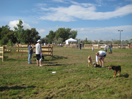 Dog Park Inside