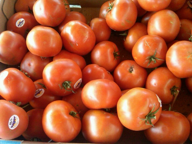 Farmers Market Tomatoes